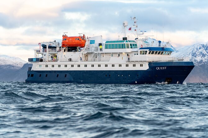 24hr Northern Lights & Whale Watching Cruise - Northern Lights and whale watching in 22 hours, how the plan works