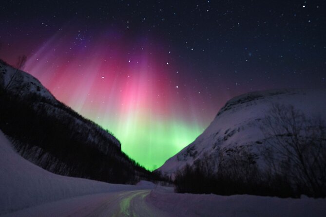 Adults Only Aurora Hunt with Wandering Owl - Stop 2 Skibotn: when the best sky window moves inland