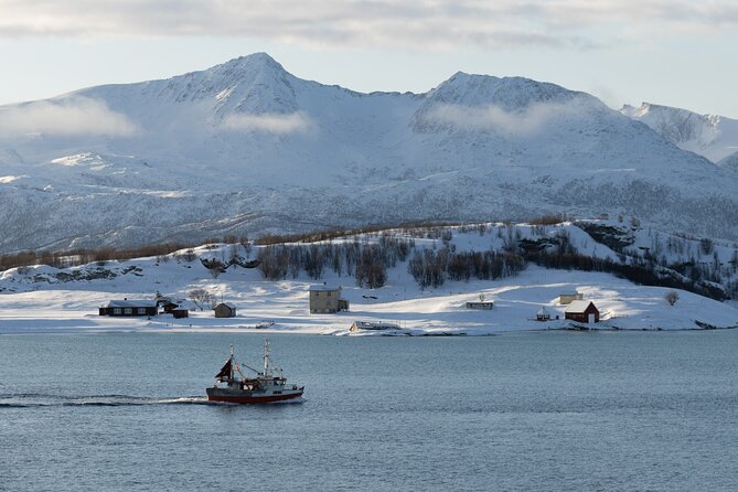 All-Inclusive Arctic Fjords and Sommarøy Scenic Tour - Key Things to Know Before You Go