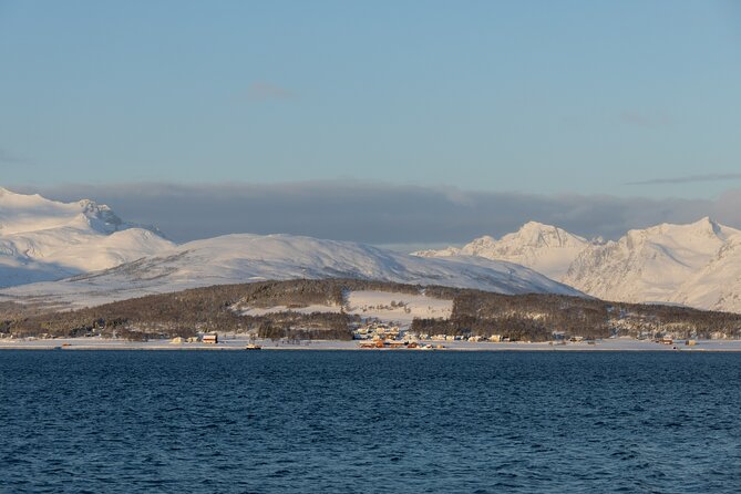 All-Inclusive Arctic Fjords and Sommarøy Scenic Tour - What Is Actually Included: Transport, Commentary, Warm Drinks, and a Real Lunch