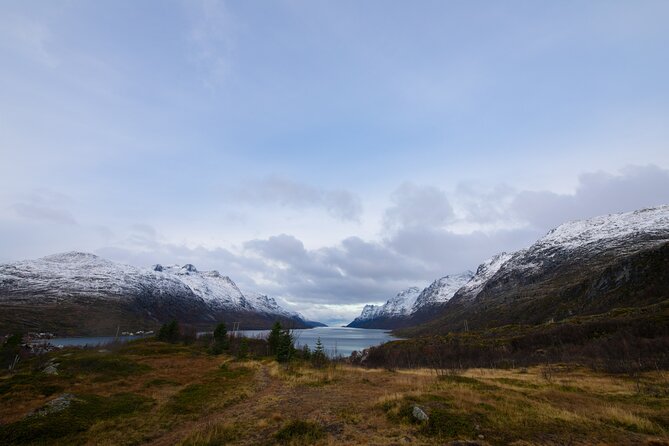 All-Inclusive Arctic Fjords and Sommarøy Scenic Tour - Sommarøy Lunch, White Sand Beach Views, and the Seaside Reset