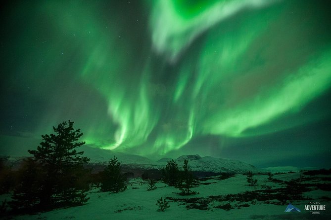 All inclusive - Northern Lights Hunt - The “clear-sky hunt” area, Troms county and maybe the Finland border
