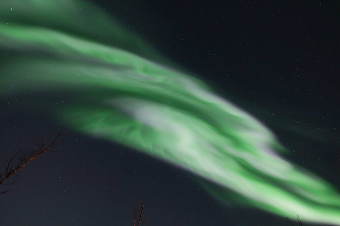 An All-Inclusive Tour - Aurora & Arctic Experience - Who This Tour Fits Best, and Who Might Want Another Option
