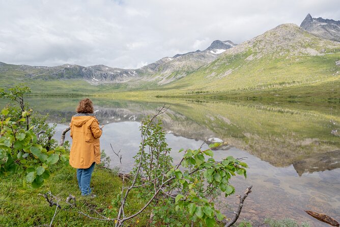 Arctic Fjord Roadtrip with Scenic Picnic from Tromso - The Scenic Picnic: Organic Vegan Sandwich, Hot Drinks, and a Beach Break