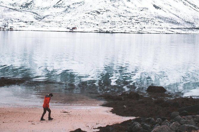 Arctic Fjord Sightseeing by Minibus - Tromsø Fjords, Sorted Out: A Warm Day Trip Beyond the City