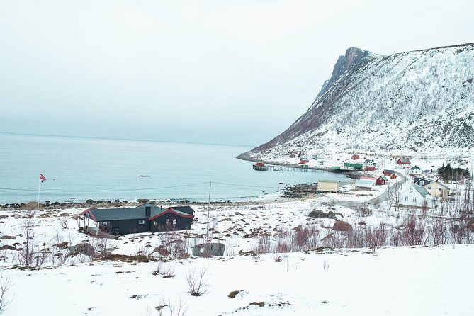 Arctic Fjord Sightseeing by Minibus - Timing and Comfort Inside the Heated Minibus