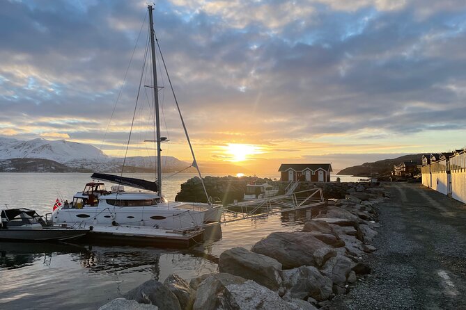 Arctic Fjordcruise & Safari in Tromso with Luxury Catamaran - Why this Tromsø fjord cruise makes a smart half-day choice