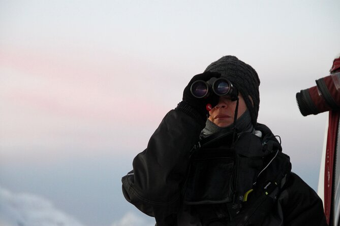 Arctic Fjordcruise & Safari in Tromso with Luxury Catamaran - WWII stories on the water: Tirpitz and what you might spot
