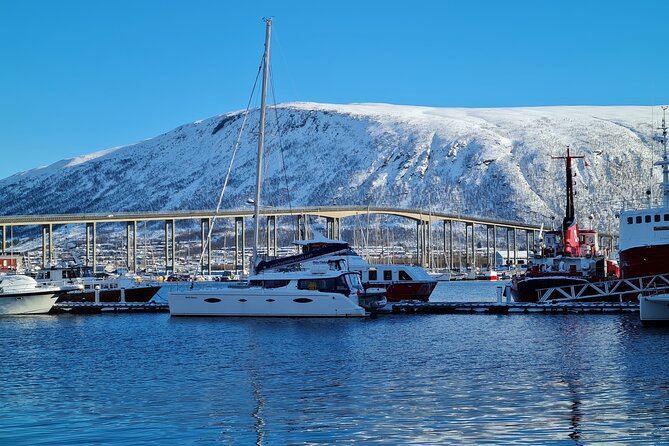 Arctic Fjordcruise & Safari in Tromso with Luxury Catamaran - Comfort that actually helps: warm suits, hot drinks, snacks, and Wi-Fi