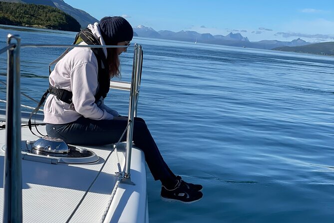 Arctic Fjordcruise & Safari in Tromso with Luxury Catamaran - Wildlife and scenery: how to get the best odds around Rya