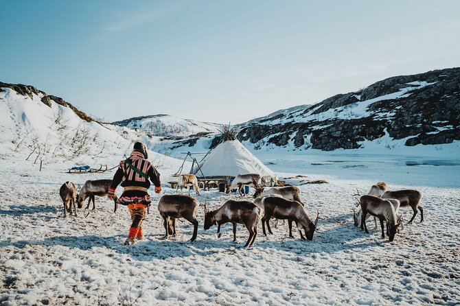 Arctic Fjords and Reindeer Experience – Small group tour - Key Highlights You’ll Care About