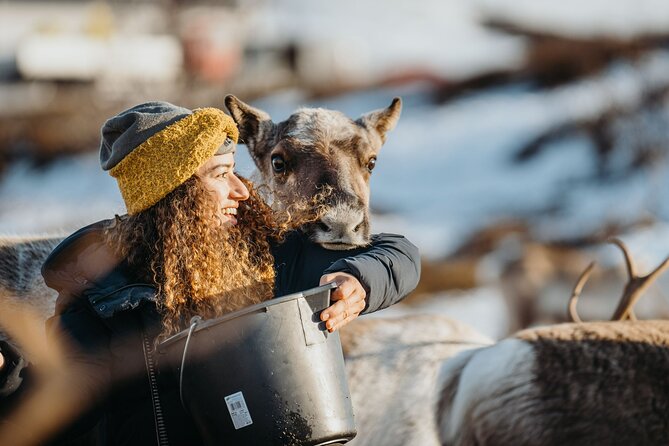 Arctic Fjords and Reindeer Experience – Small group tour - Meeting Point and Timing: A 9:00 Start with Several Stops