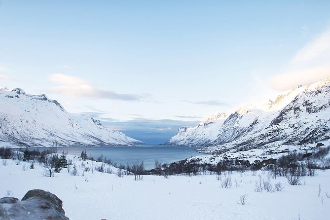 Arctic Fjords Road Trip - Tromso fjords in half a workday: what makes this road trip tick