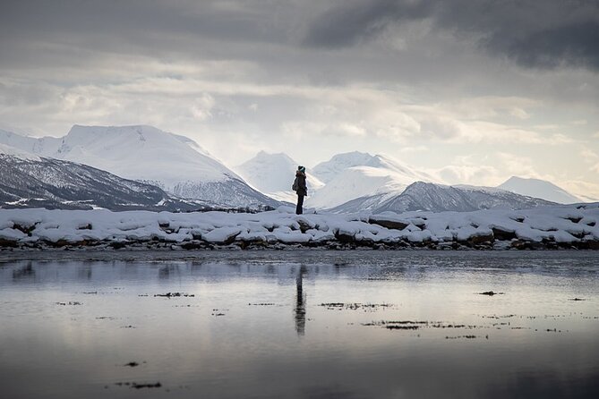 Arctic Landscapes Hiking, Sightseeing & Snowshoeing Private Tour - Key highlights to know before you go