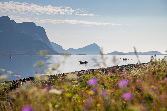 Arctic Landscapes Hiking, Sightseeing & Snowshoeing Private Tour - Stop 1: Tromsø Fjords, walking or snowshoeing for the best views