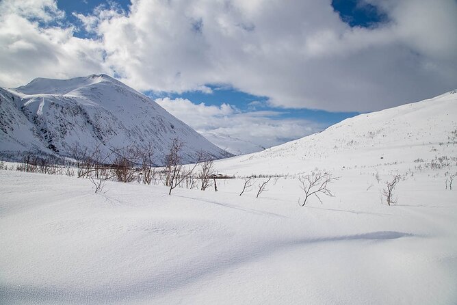 Arctic Landscapes Hiking, Sightseeing & Snowshoeing Private Tour - The warm lunch break, plus cookies and hot drinks