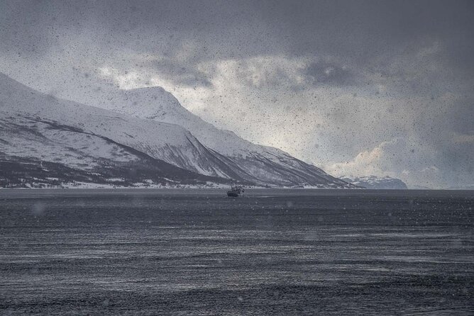 Arctic Landscapes Hiking, Sightseeing & Snowshoeing Private Tour - Who this half-day tour fits best (and who should think twice)