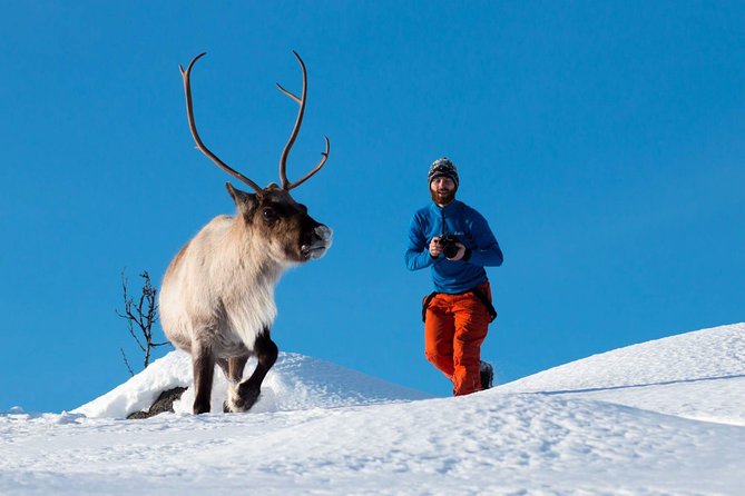 Arctic Nature Photography Sightseeing Tour from Tromso - Arctic Nature Photography from Tromsø, the quick hits