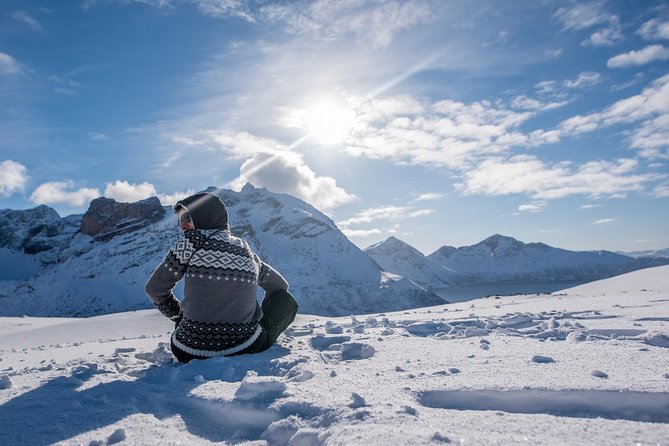 Arctic Nature Photography Sightseeing Tour from Tromso - A 5-hour winter rhythm in Tromsø that starts at 10:00 am