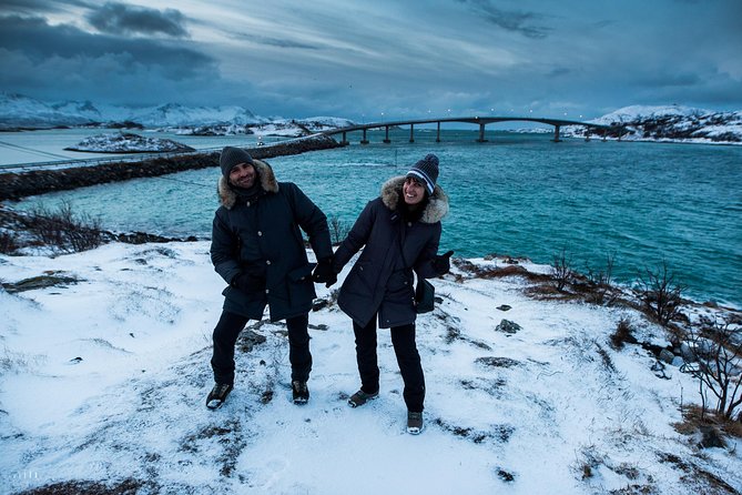 Arctic Nature Photography Sightseeing Tour from Tromso - Picnic beach time and the drive back to Tromsø