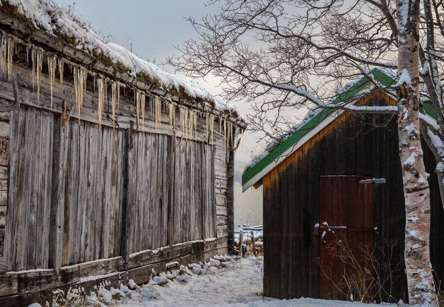 Arctic Nature Tour from Tromsø - Kvaløya Island by minibus: fjords, beaches, and village views in quick succession