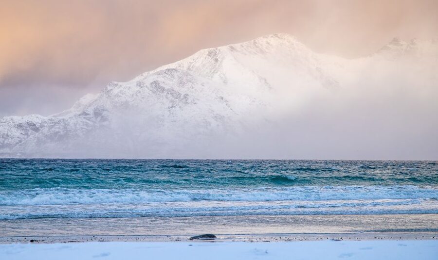 Arctic Nature Tour from Tromsø - Price and value: what $142 really buys you in Tromsø time