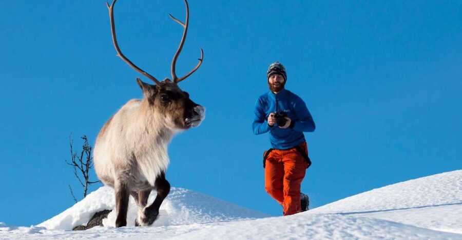 Arctic Nature Tour from Tromsø - Who this tour is best for, and who should pick something else