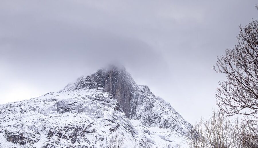 Arctic Nature Tour from Tromsø - Tips to get the best day out of Kvaløya