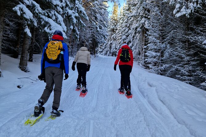 Arctic Snowshoe Hike in Norway - Meeting at Clarion Hotel The Edge, then straight onto the snowy trail