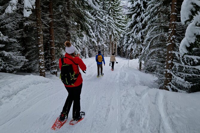 Arctic Snowshoe Hike in Norway - Dress for Arctic weather, then enjoy the silence for four hours