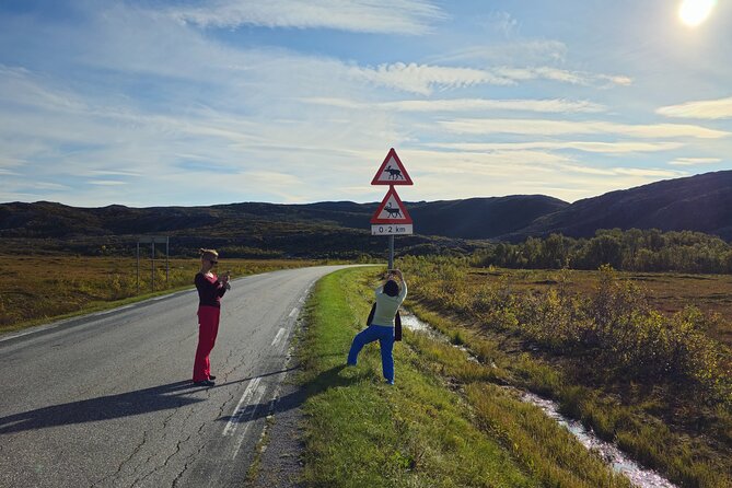 Arctic Wildlife and Fjord Sightseeing - Best time for booking and photo results near Tromsø