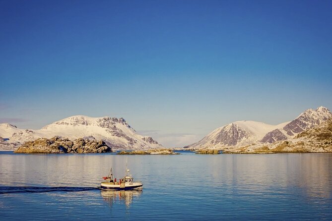 Arctic Wildlife and Fjord Sightseeing - Price and value: $226.16 for 5 to 6 hours near Tromsø