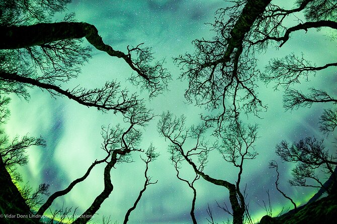 Aurora Adventure Tour with Creative Vacations - The 5:30 pm Start and How the Night Unfolds