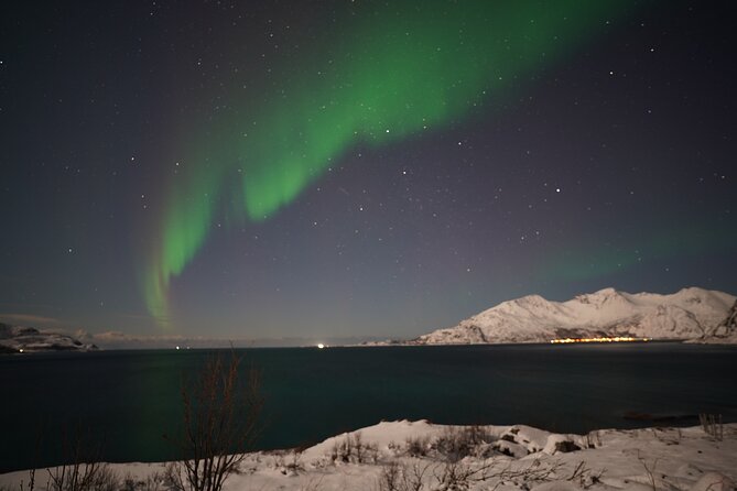 AURORA DAİLY Northern Lights Safari Tour 8 Guests with PİCKUP - Key Highlights You Should Know Before You Go