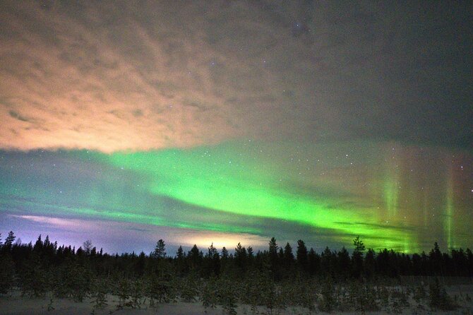 AURORA DAİLY Northern Lights Safari Tour 8 Guests with PİCKUP - Tromsø At Night, With a Plan (and a Backup Plan)