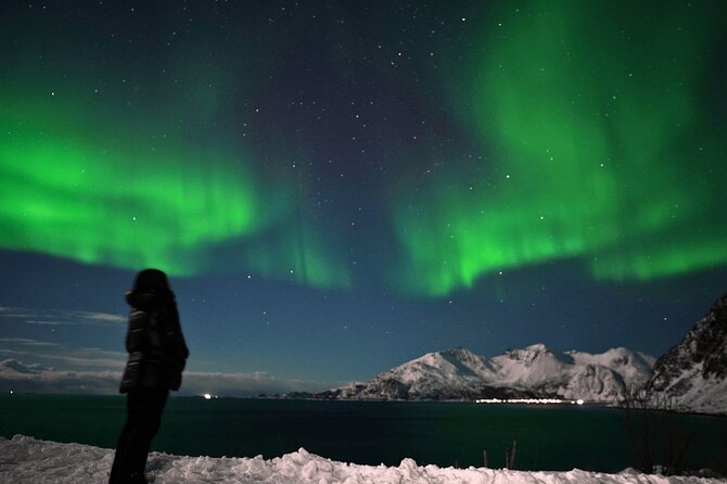 AURORA DAİLY Northern Lights Safari Tour 8 Guests with PİCKUP - Price and Value: What $290.10 Really Covers