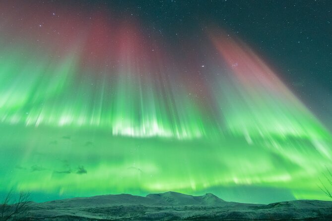 Aurora Hunt with the campfire and professional photographer - Thermal suit basics, and what you still need to bring