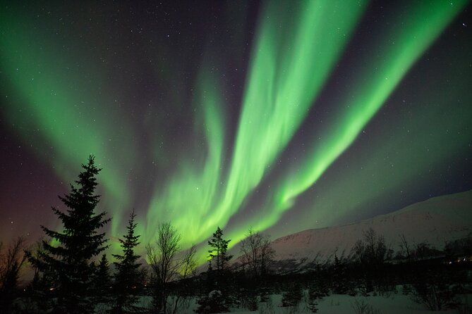 Aurora Safari Chase by big bus, free Photos, toilet onboard - The comfy coach ride, plus a science lesson that actually helps