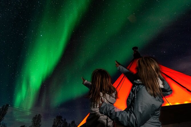Aurora Safari Chase by big bus, free Photos, toilet onboard - Price and value: what you are paying for at $128.16