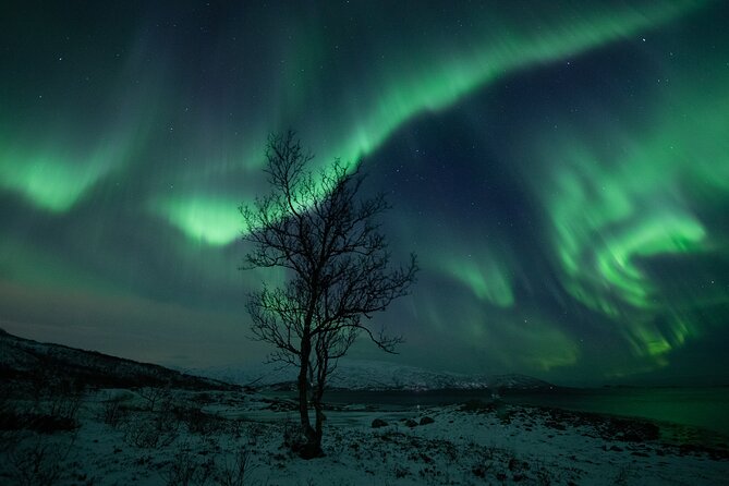 Auroras Hunt - Tour in Spanish, Northern Lights Chase in Spanish - Campfire Warmth and the Included Light Meal