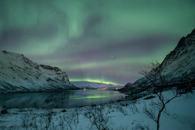 Auroras Hunt - Tour in Spanish, Northern Lights Chase in Spanish - Chasing the Lights: How the Guide Reads the Night Sky