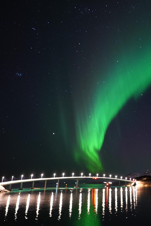 Chase the Magic of the Northern Lights in Tromsø Norway - The Real Value: Thermal Suits, Hot Drinks, and Gear That Lets You Stay Outside