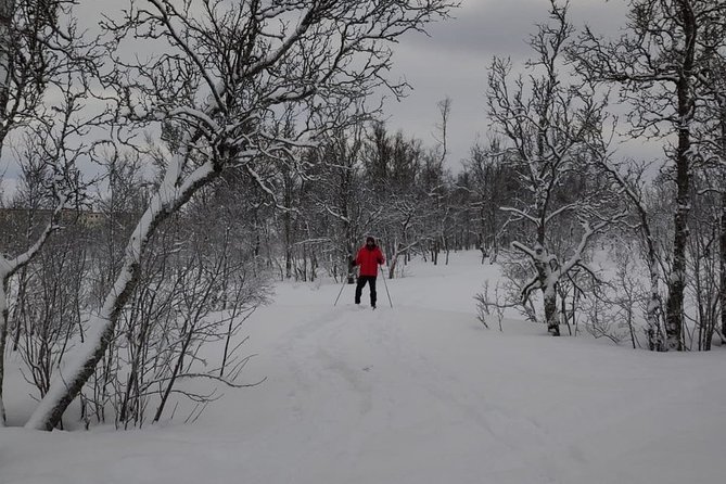 Cross-Country Ski Lesson for Beginners in Tromso - What’s included in the price, and what you need to plan for