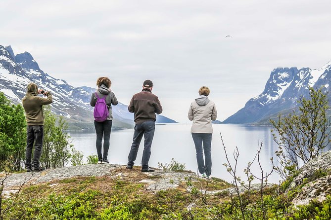 Discover the Fjords of Kvaloya - a roadtrip along fjords and fishing villages - Kvaløya photo stops and fishing villages, what the driving actually delivers