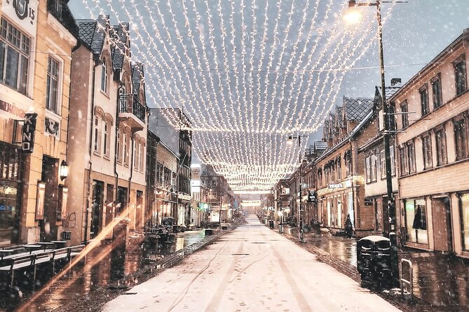 Discover the most Photogenic Spots of Tromsø with a Local - Tromsø in 90 minutes, with a camera-first local guide