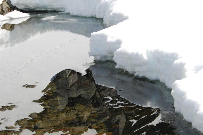 Eco friendly snowshoeing in Scenic Landscape - Pace, group size, and first-time snowshoers
