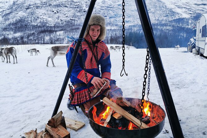 Exclusive Reindeers Experience in small groups, Tromso - Getting to the reindeer camp from Tromsø without a hassle