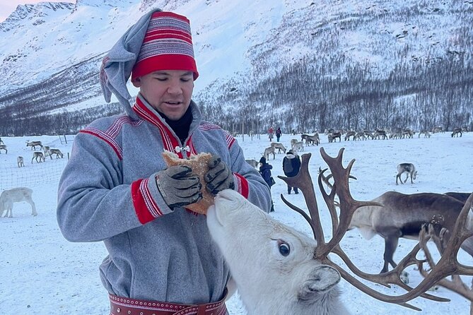 Exclusive Reindeers Experience in small groups, Tromso - Small-group size, personal time, and why it feels less touristy
