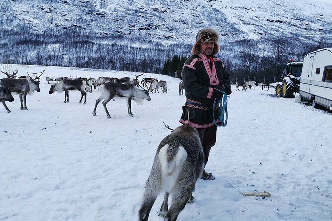 Exclusive Reindeers Experience in small groups, Tromso - Practical tips for staying comfortable in Tromsø winter