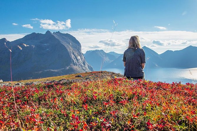 Fjord Expedition: Arctic Adventure Awaits - What You Actually Get in the Price, and What You Must Bring